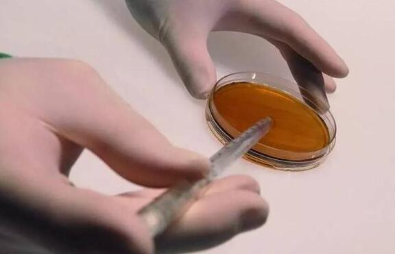 尿素销售前景怎么样,尿素为什么越来越便宜