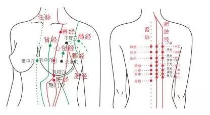 预防乳腺增生吃什么中成药,乳腺增生与乳腺癌的自我判断