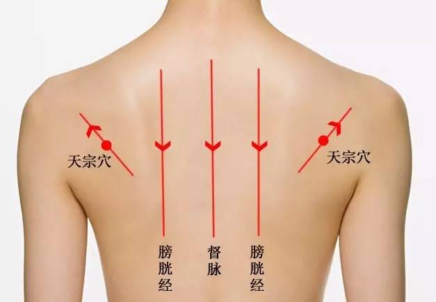 预防乳腺增生吃什么中成药,乳腺增生与乳腺癌的自我判断