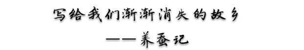 养蚕记绘本故事,养蚕记的经典散文