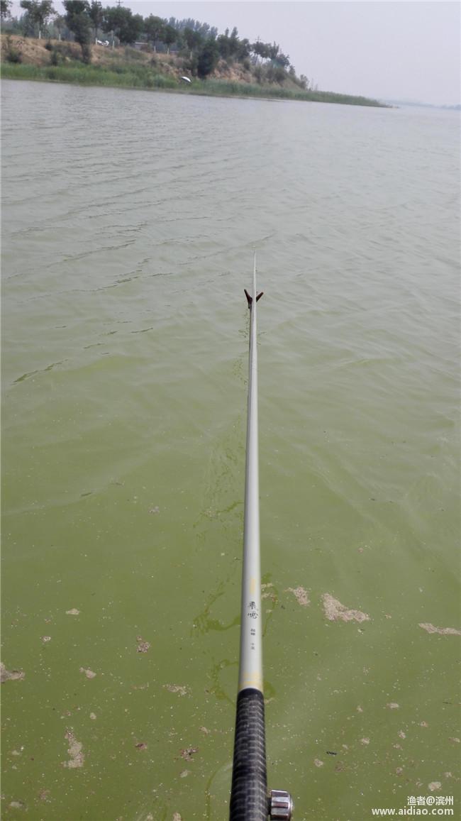 端午小长假休息安排,端午小假期安排