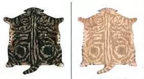 趣说猫历史|原来所有猫咪中性格最好的是你呀！