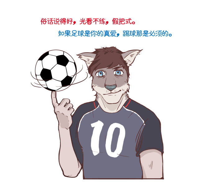 看欧洲杯要懂什么,看欧洲杯学英语