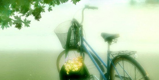 唯有坚持努力才能成为更好的自己,坚持自己的梦想值不值