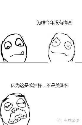 欧洲杯比赛球谜冲入赛场会怎么样,大赛迷是什么意思