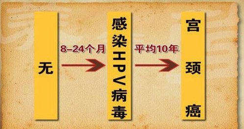 hpv常见问题和解决讲解,hpv常见问题及解决方法