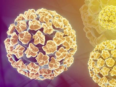 hpv常见问题和解决讲解,hpv常见问题及解决方法