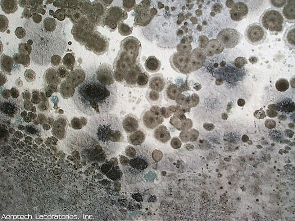 饭前慎入：不怕恶评如潮！揭秘“空调几年不洗就少活几年？”