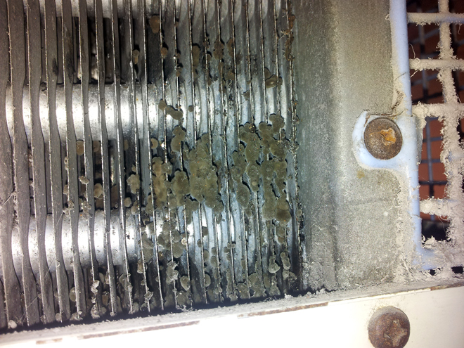 饭前慎入：不怕恶评如潮！揭秘“空调几年不洗就少活几年？”