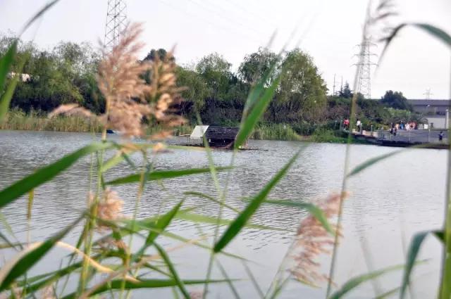 上海地铁10号线各站点有哪些景点,上海地铁沿线风景点
