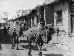 定居在包头怎么样,包头了解历史的地方