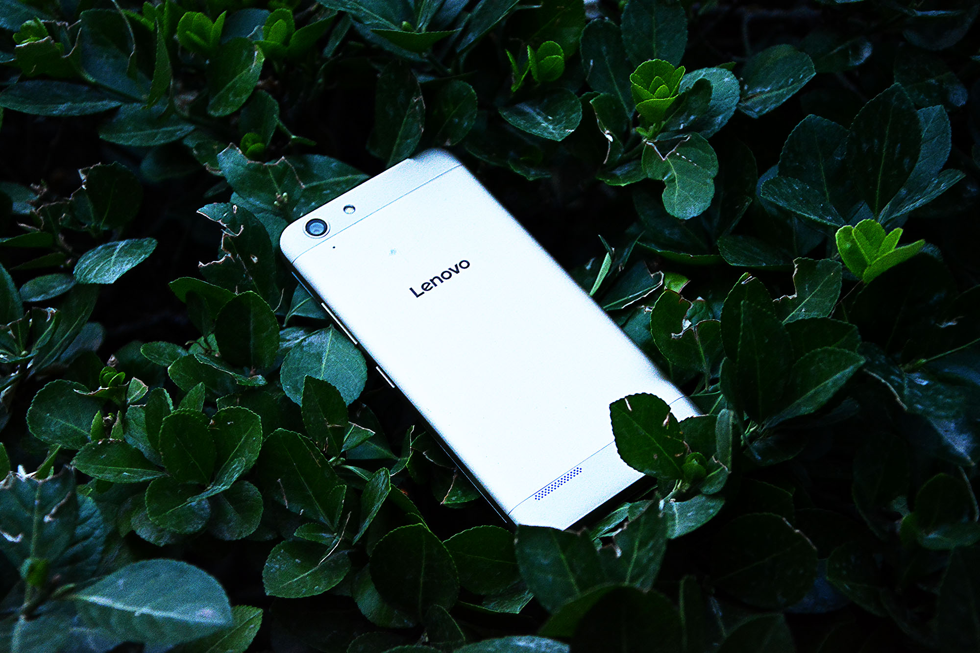 乐檬回归了完整版,乐檬回归