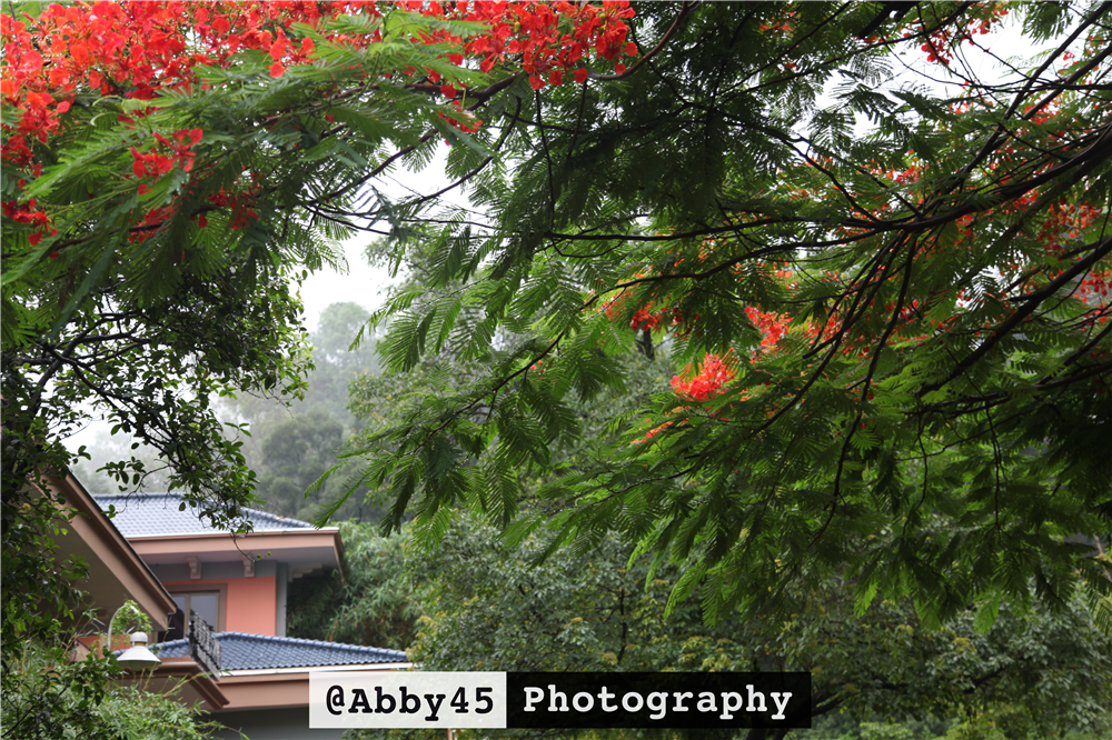 东莞长安铂尔曼酒店,东莞君源铂尔曼酒店