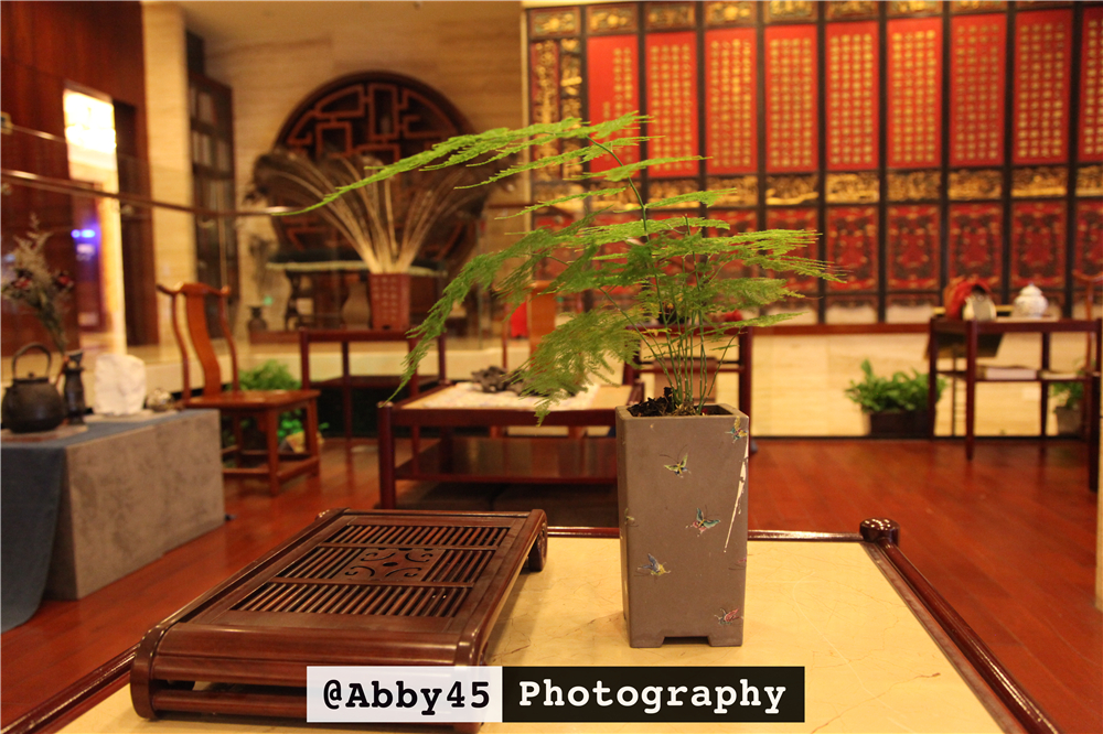 东莞长安铂尔曼酒店,东莞君源铂尔曼酒店