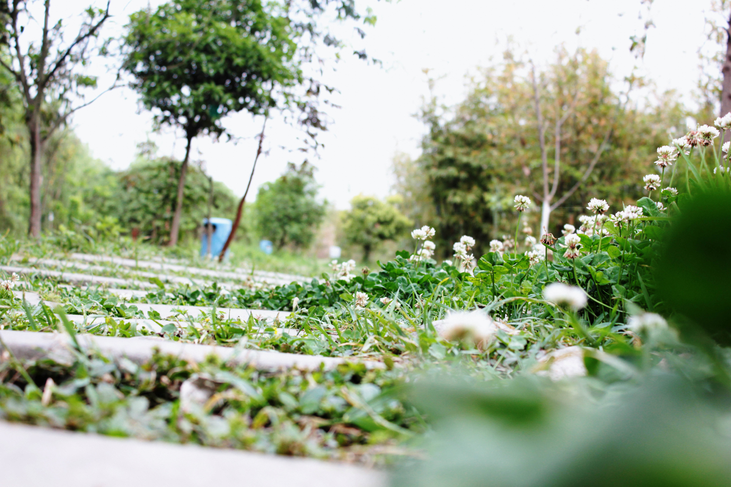 川大锦城好不好,选择四川大学的理由200字