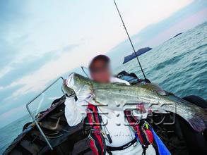 去渔山列岛海钓攻略,渔山列岛海钓民宿