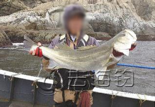 去渔山列岛海钓攻略,渔山列岛海钓民宿