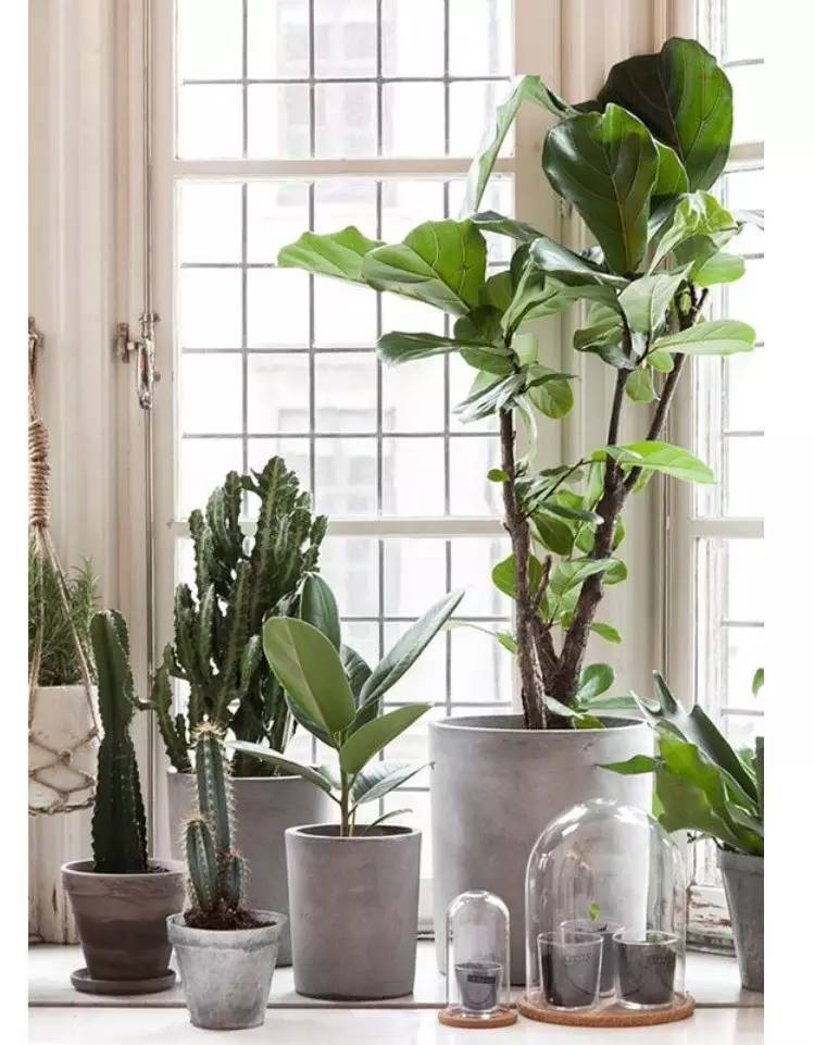 甲醛去除方法晒太阳还是水洗,小苏打去除甲醛最简单方法