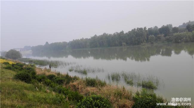 端午小长假休息安排,端午小假期安排