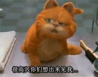 趣说猫历史|原来所有猫咪中性格最好的是你呀！