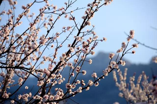 临沭高考2022试卷,临沭高考模拟考试