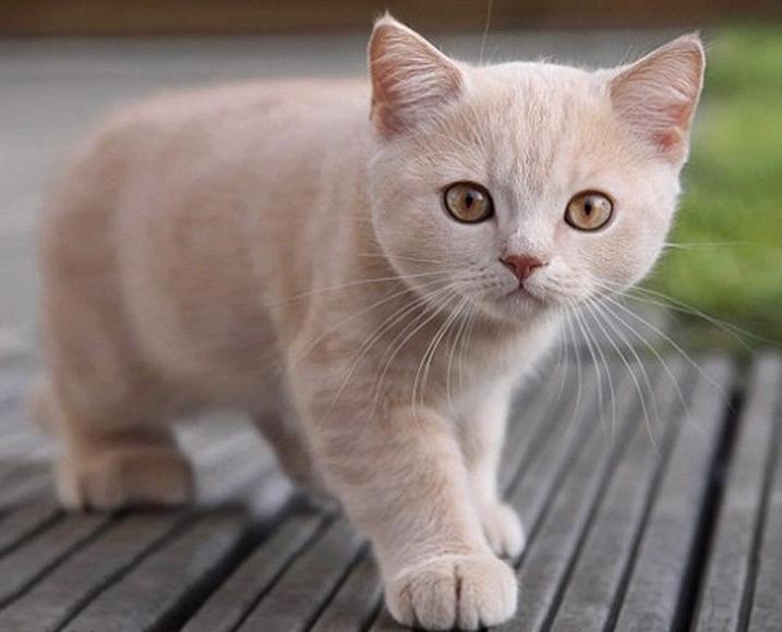 千万别在网上搜索的东西,永远不要在淘宝上搜索什么