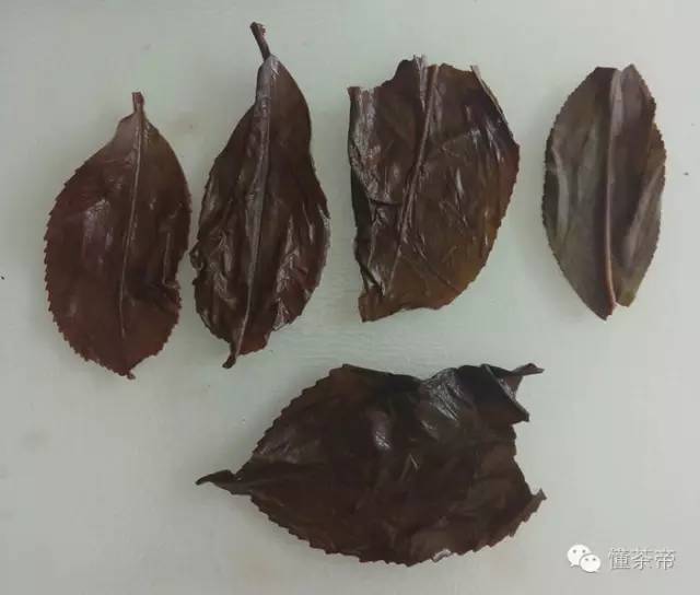 老挝古树茶是不是普洱茶类的,老挝普洱古树茶品质怎么样