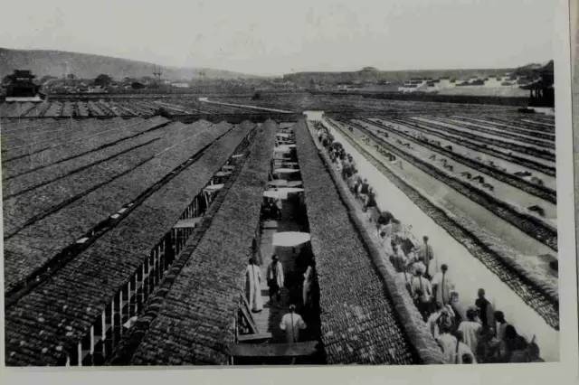 魏英杰:这三位考生改变了晚清命运