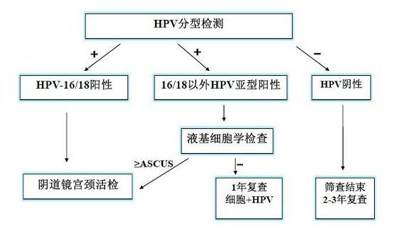 hpv常见问题和解决讲解,hpv常见问题及解决方法