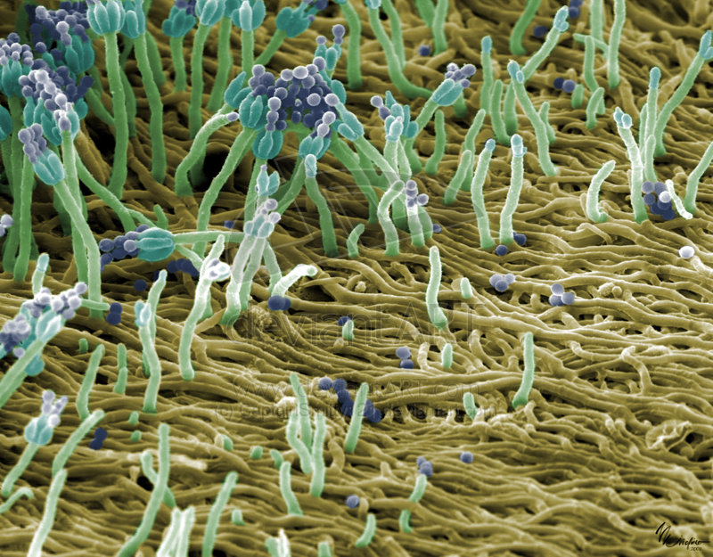 饭前慎入：不怕恶评如潮！揭秘“空调几年不洗就少活几年？”