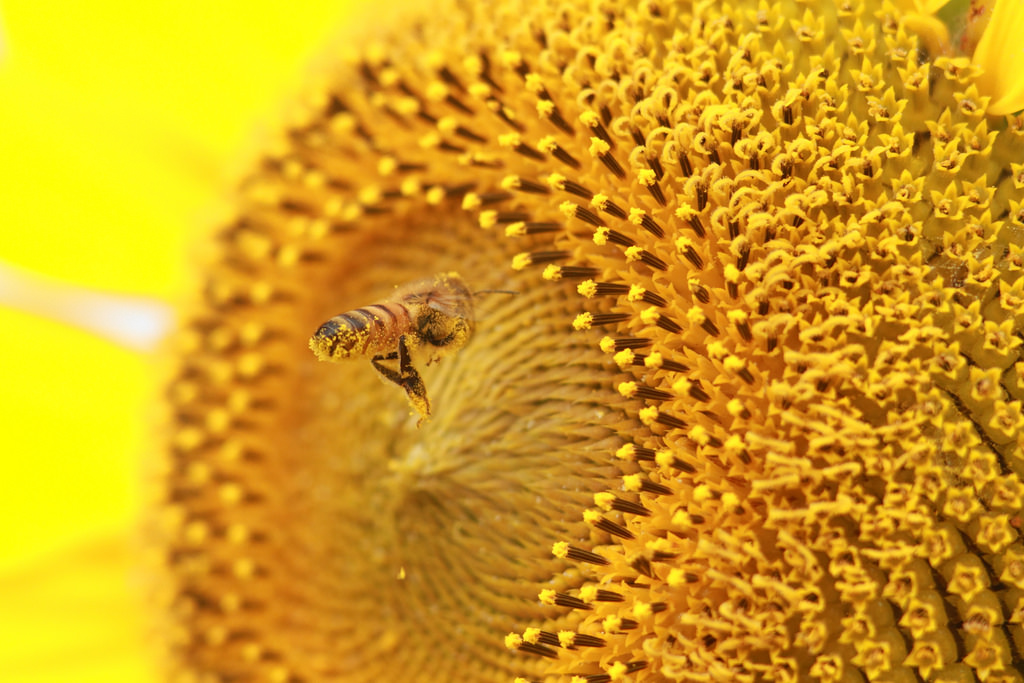 饭前慎入：不怕恶评如潮！揭秘“空调几年不洗就少活几年？”