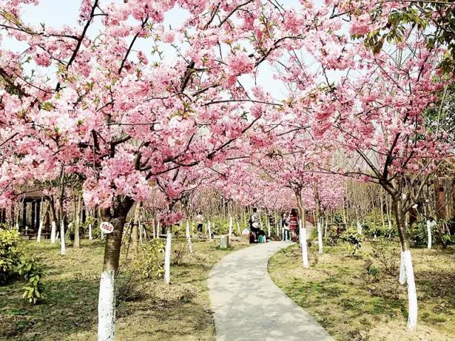 上海地铁10号线各站点有哪些景点,上海地铁沿线风景点