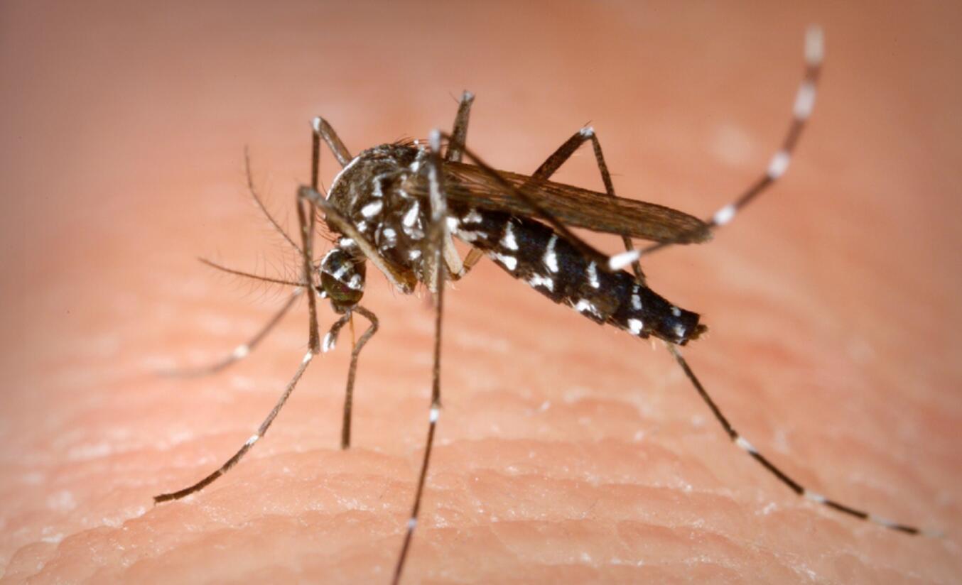 当妈的因为不知道这个，儿子被蚊子叮咬后……