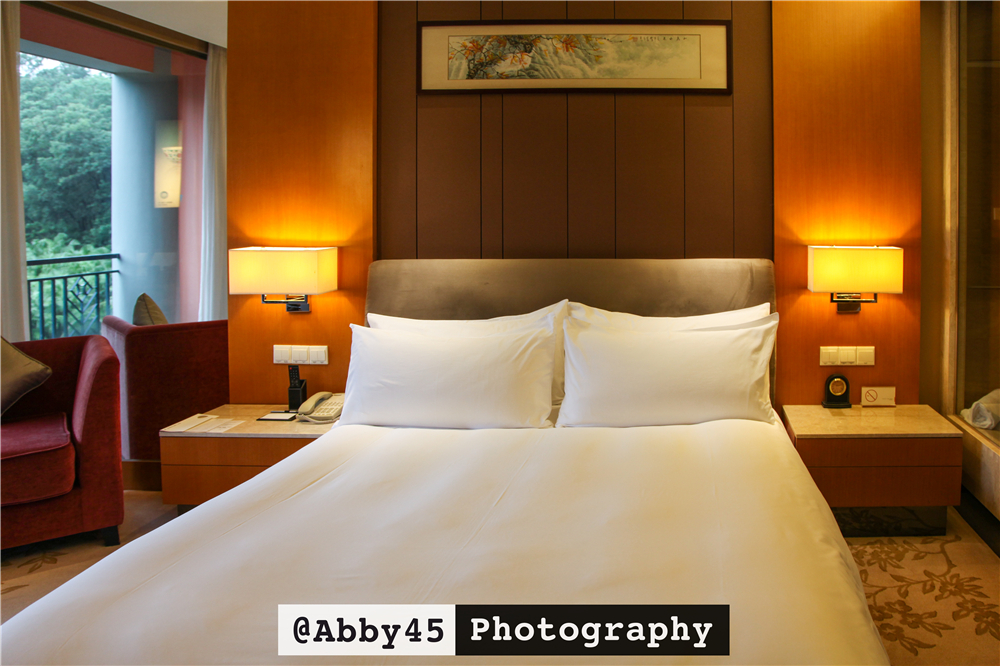 东莞长安铂尔曼酒店,东莞君源铂尔曼酒店