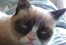 欧洲杯工作项目,欧洲杯兼职