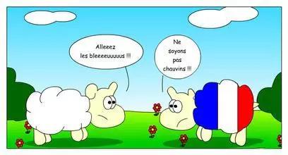 法语零基础入门如何学习,法语零基础入门学习自学法语