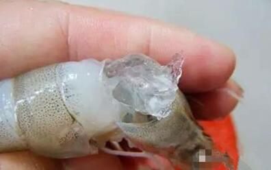 你吃的虾可能打了胶!简直令人发指,看吐了