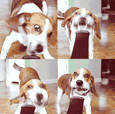 发质不好一定是你没选对吹风机,吹风机发质好还是不好