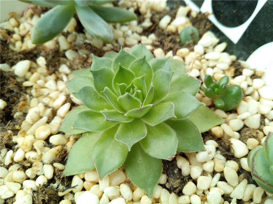 360n4手机怎么样,360手机n4和360手机n4s有什么区别