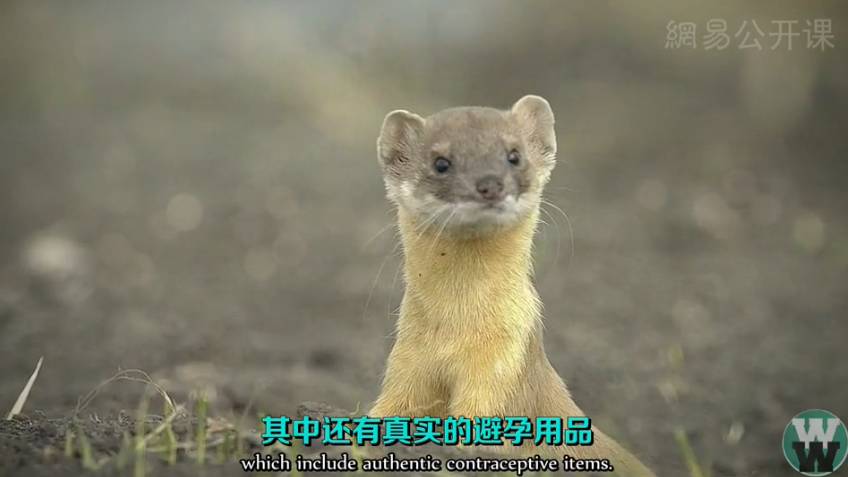 世界上最不安全的避孕方式,世界上有新型避孕方法吗