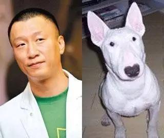 泰迪熊之玩具大战剧情解读,泰迪熊之玩具总动员