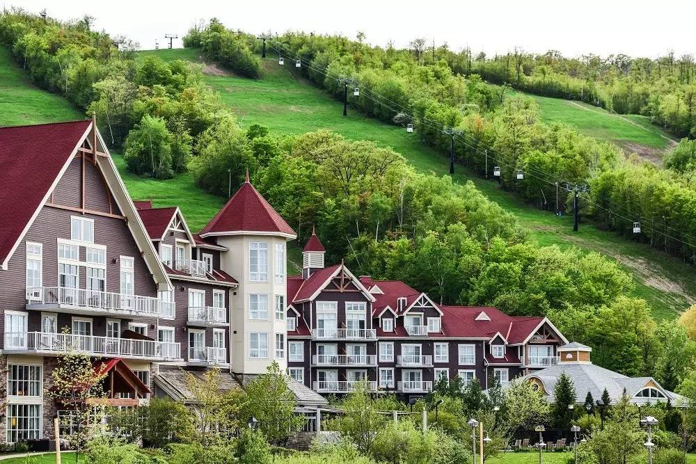 北美大陆最美一处森林风景,北美大陆的风景