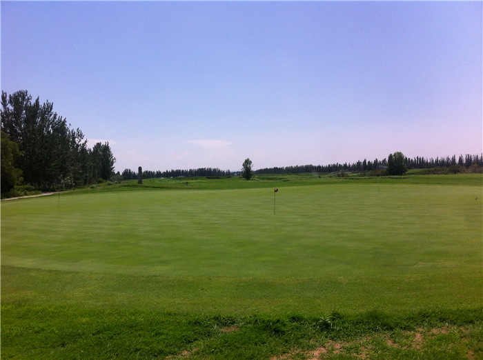 重回巴彦淖尔：八百里河套我用三天走过，十四年之痒我于一夕安放