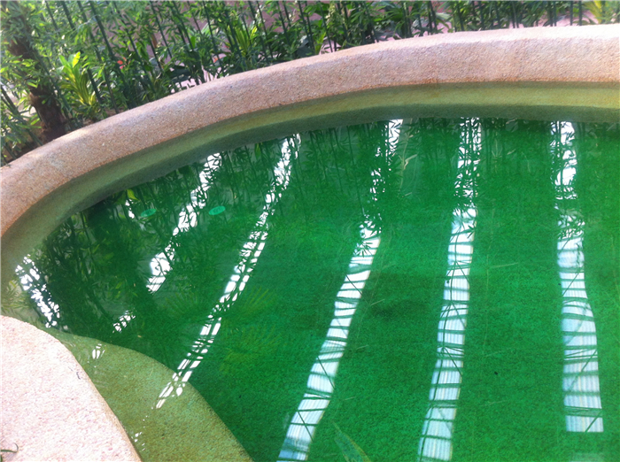 重回巴彦淖尔：八百里河套我用三天走过，十四年之痒我于一夕安放