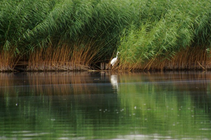 重回巴彦淖尔：八百里河套我用三天走过，十四年之痒我于一夕安放