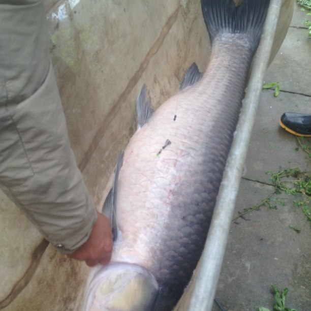 小孩半夜老是哭闹辟邪的办法,老人给我们准备的辟邪神器