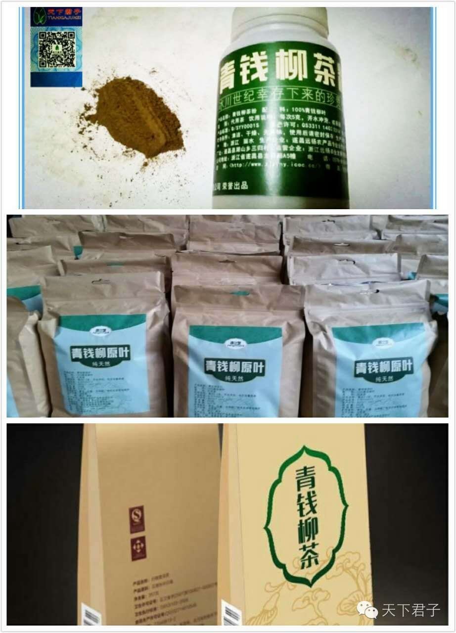 仙县仙女仙叶----青钱柳考察记—糖尿病患者的福音