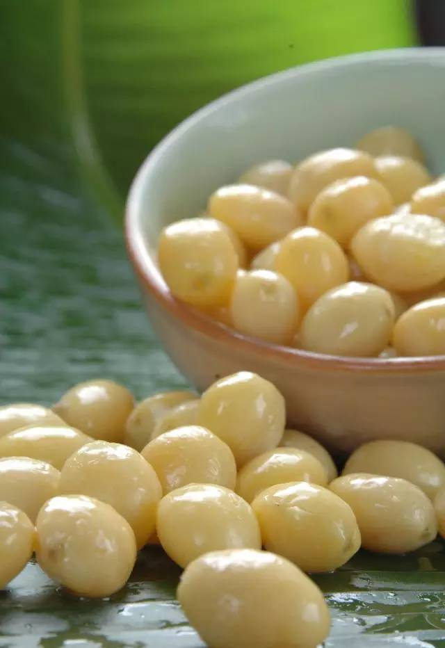 白果以种子入药吗,公白果树果子能吃吗