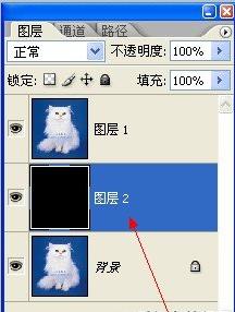 ps基础课程橡皮擦工具的简单介绍,ps里面橡皮擦工具怎么设置成白色
