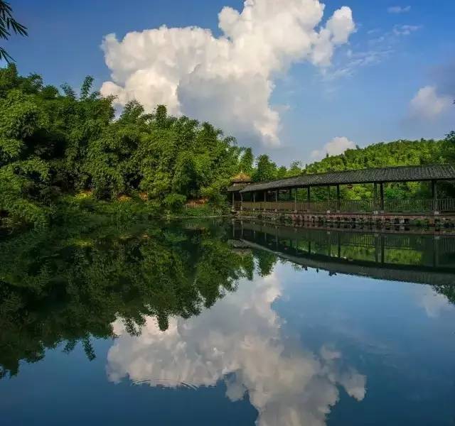 川西竹海清爽一夏,来这个岁月静好的夏日度假地